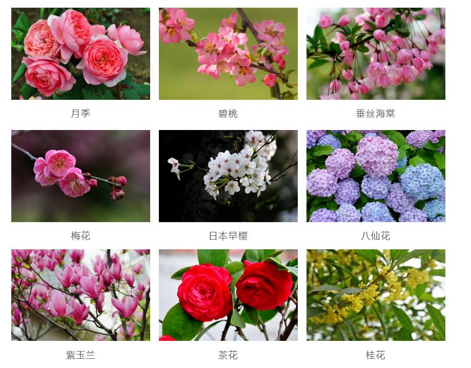 園林景觀工程如何節(jié)約成本？